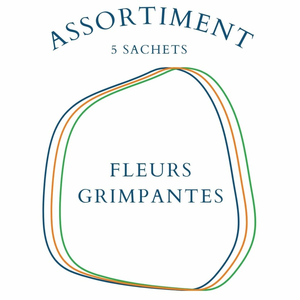 Assortiment Fleurs Grimpantes