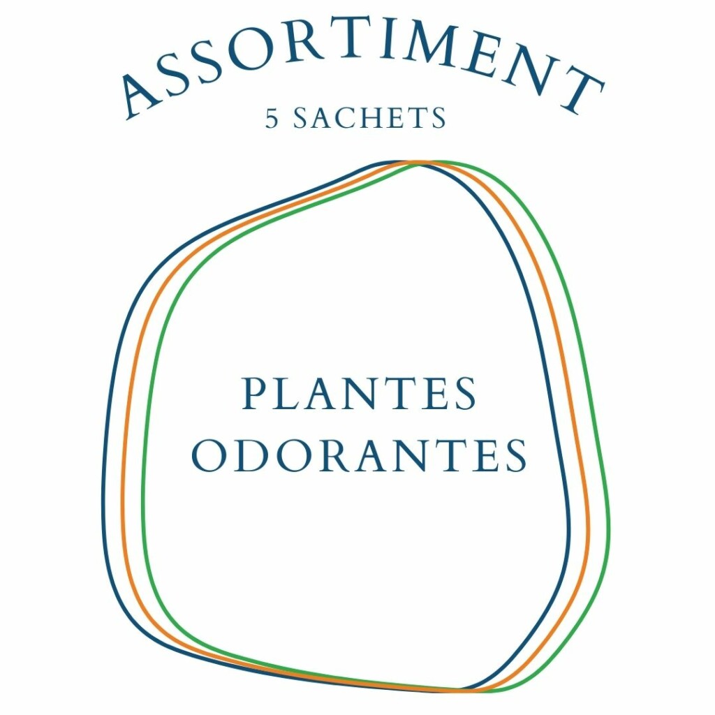 Assortiment Plantes Odorantes