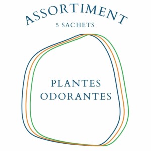 Assortiment Plantes Odorantes - 5 sachets de graines