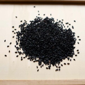 Sésame Noir Bio - 0.5 gramme