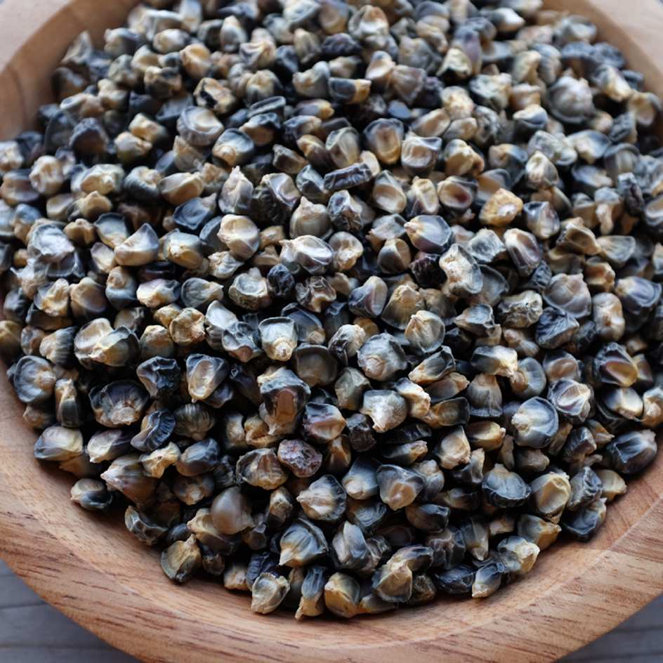 mais green jade bio boite a graines 2025 (12)_WEB