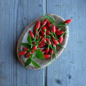 Piment oiseau rouge, petit et très piquant, utilisé en cuisine pour relever les plats.