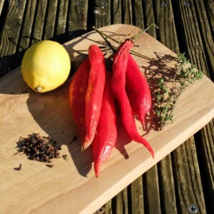 fruits rouge Piment achard agriculture biologique AB graines semences