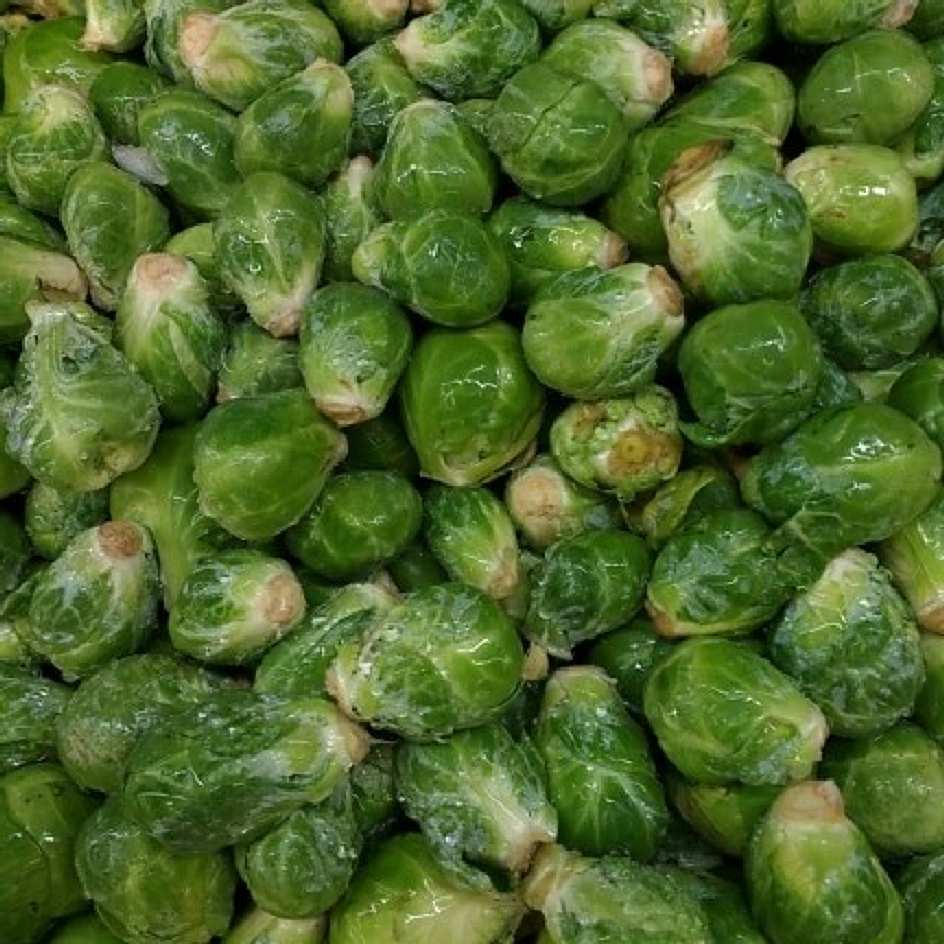 Chou de Bruxelles Demi-Nain Sanda Bio