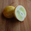 concombre lemon bio