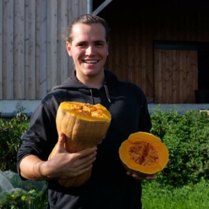 Courge musquée Violina : variété ancienne italienne, semences reproductibles