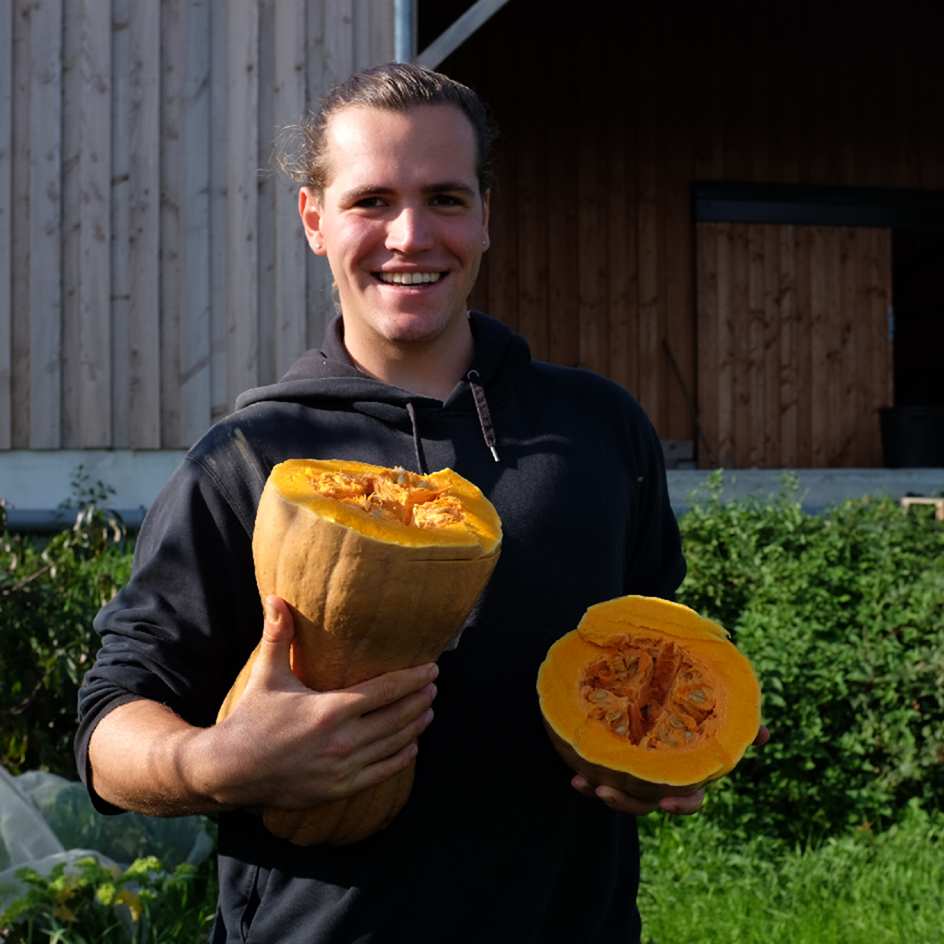 Courge Musquée Violina Bio