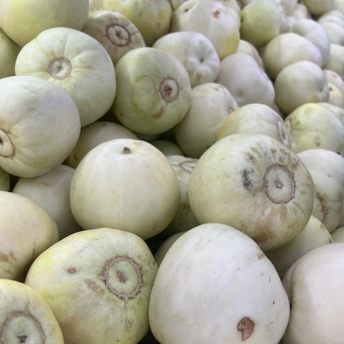 Melon Sakata Sweet Bio la boite à graines semences potagères reproductibles Melon Sakata Sweet Bio semences potagères reproductibles