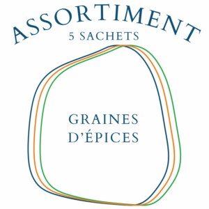 assortiment graines d'épices