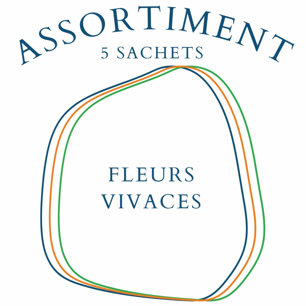Assortiment Fleurs Vivaces