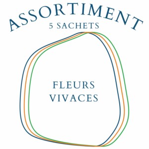 assortiment fleurs vivaces 5 sachets