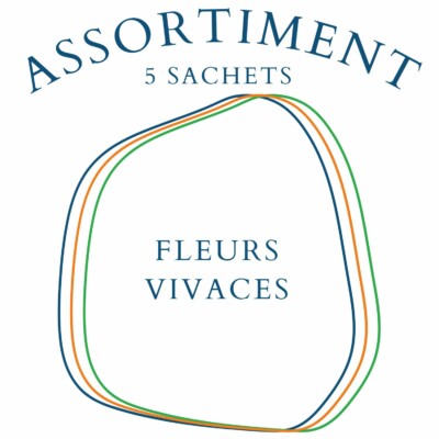 assortiment fleurs vivaces 5 sachets