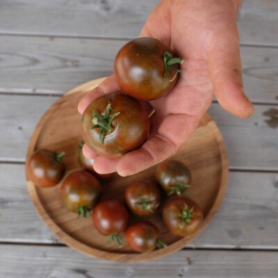 Tomate rouge sombre à brun foncé, au goût fumé. Souche de tomate Black Prince légèrement plus ovale que la variété type.